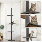 Arbre à chat ajustable, parfait pour les chats actifs