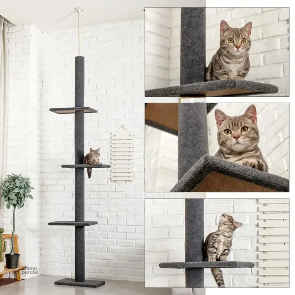 Arbre à chat ajustable, parfait pour les chats actifs