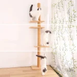 SkyTower, une solution verticale pour les Maine Coons