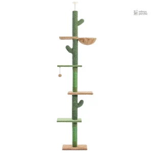 CactusEscapade : arbre à chat du sol au plafond