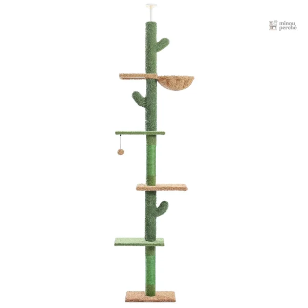 CactusEscapade : arbre à chat du sol au plafond