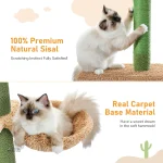 CactusEscapade, un arbre à chat créatif et ludique