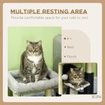 Structure compacte pour chats avec élément tunnel