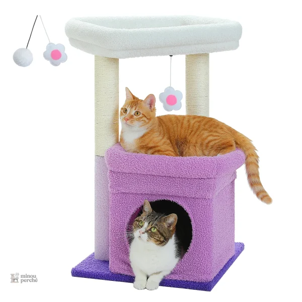 CosyNiche, l'arbre à chat compact pour les amateurs de chats