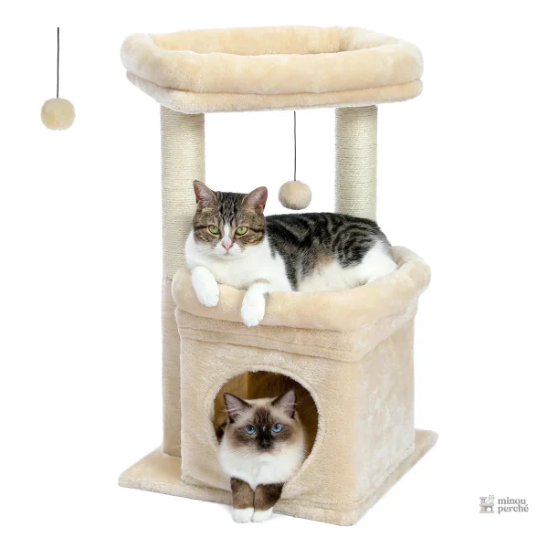 Arbre à chat avec condo pour un confort optimal