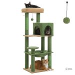 Accessoire essentiel pour les amoureux des chats