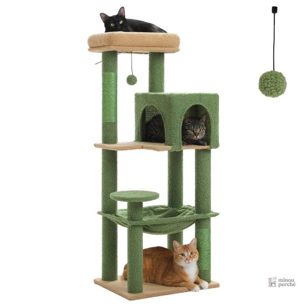 Accessoire essentiel pour les amoureux des chats