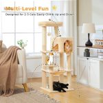 Jouets suspendus pour un divertissement félin