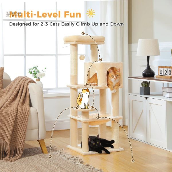 Jouets suspendus pour un divertissement félin