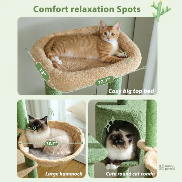 Arbre à chat en forme de cactus pour jeux et repos