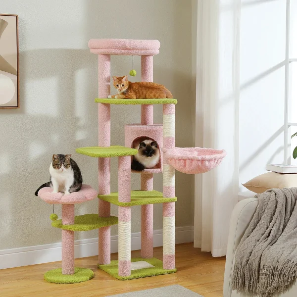 Condo et hamac intégrés dans l'arbre à chat cactus