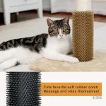 Boules en peluche colorées pour le jeu des chats