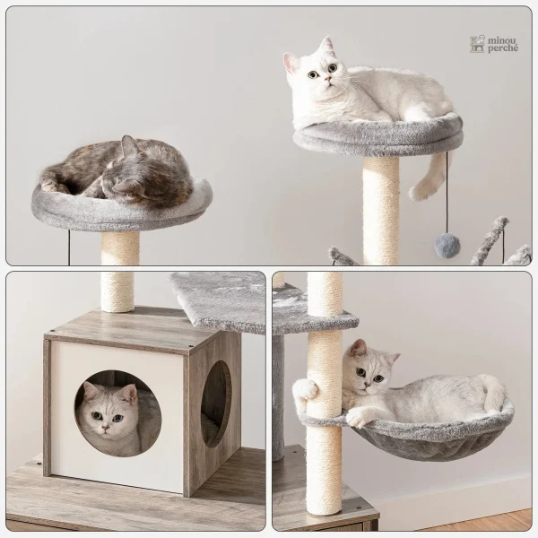 Meuble à litière esthétique pour un intérieur soigné