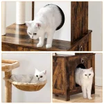 Accessoire idéal pour le bien-être des chats