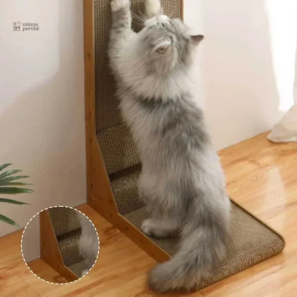 Arbre à chat ScratchPal pour le bien-être de votre félin
