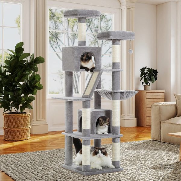 Arbre à chat FelineKingdom pour Maine Coon