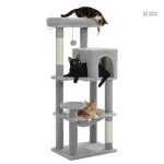Accessoire essentiel pour chats actifs