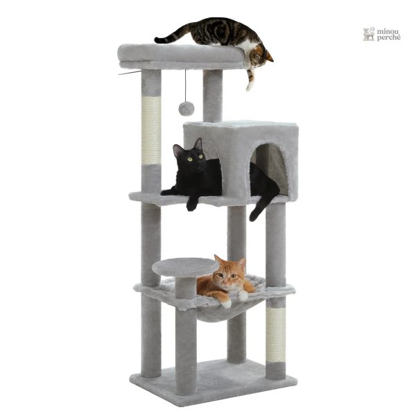 Accessoire essentiel pour chats actifs