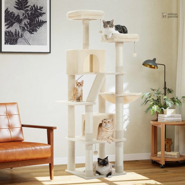 Structure robuste pour Maine Coon