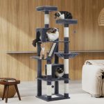 Espace de jeu sécurisé pour votre chat