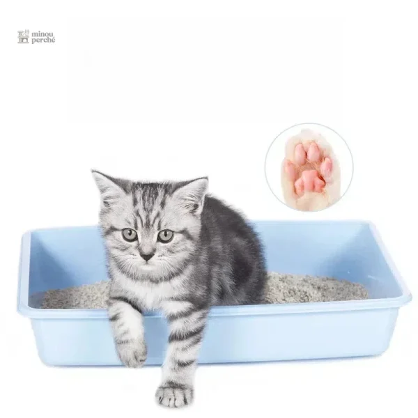Litière naturelle pour le confort de votre chat