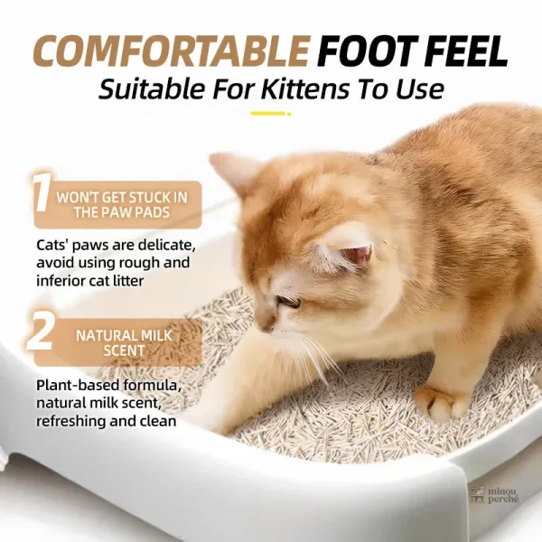 Produit EcoClump FastClean, litière naturelle pour chats