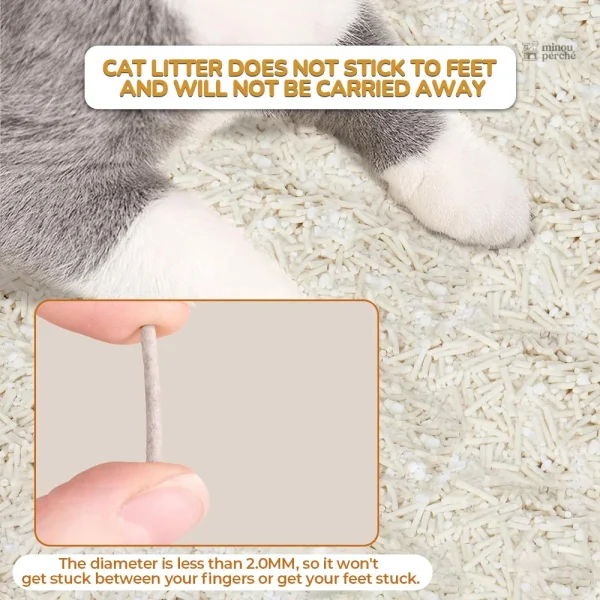 Tofu litter, solution absorbante pour le confort félin