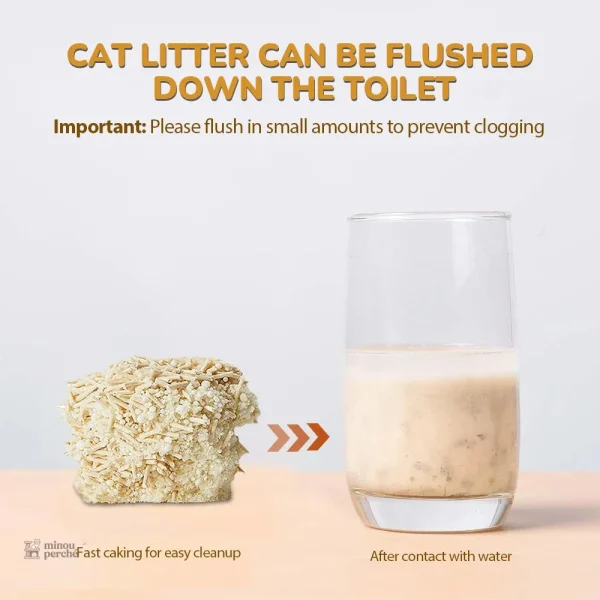 DuoPack de litière tofu, idéal pour chats sensibles