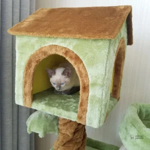 Arbre à chat avec espace de jeu et repos confortable