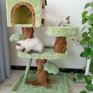 Arbre à chat haut de gamme avec design élégant