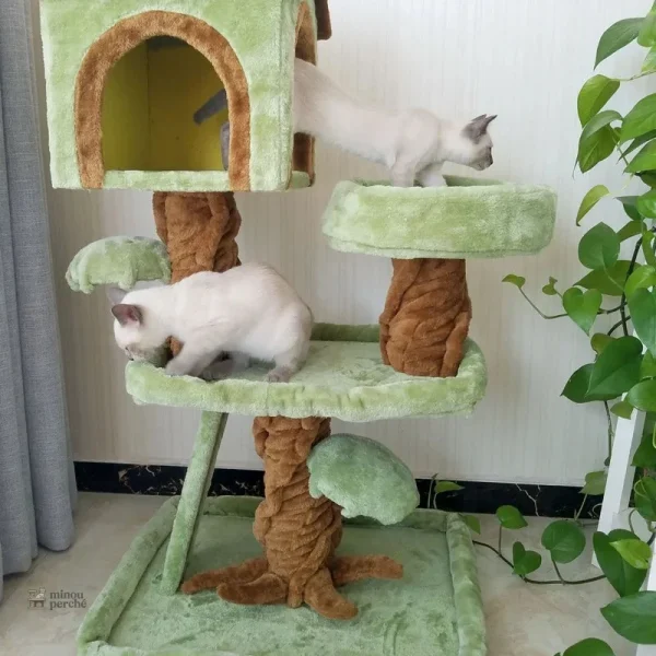 Arbre à chat haut de gamme avec design élégant