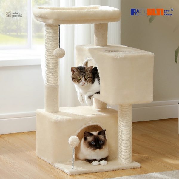 Maison pour chat avec griffoir - CactusCat