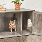 Conception fonctionnelle pour chats