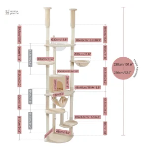 Arbre à chat pour intérieur, hauteur réglable