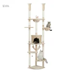 Structure solide pour chats Maine Coon adultes