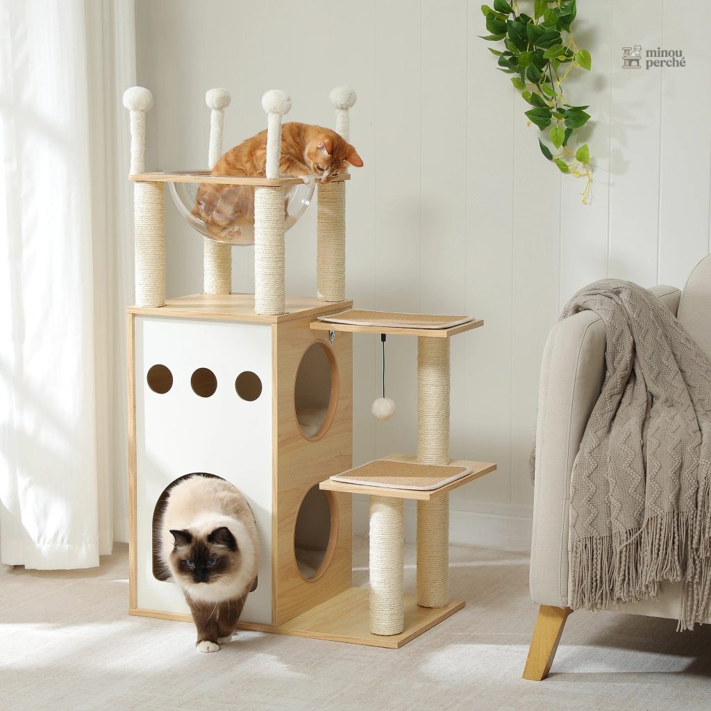 Arbre à chat bois