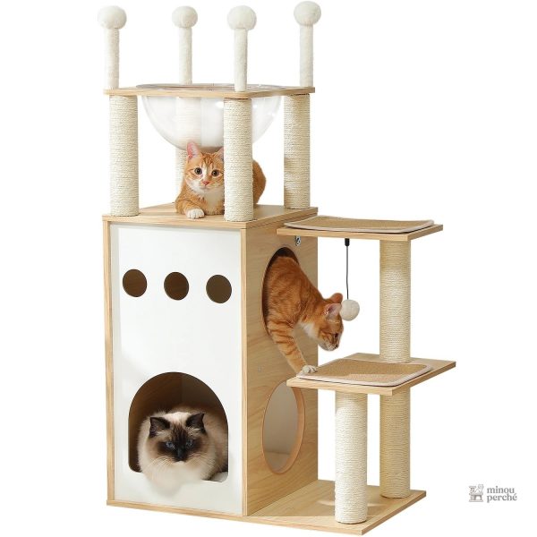 Design sobre pour un arbre à chat CozyCondos