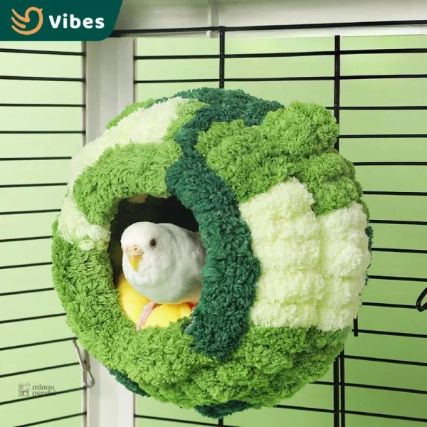 Refuge d'hiver pour chats, design accueillant