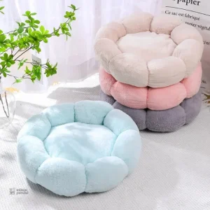 Nid Douillet pour Chat - PurrNest confort optimal