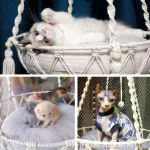 Lit suspendu pour chat - confort et sécurité