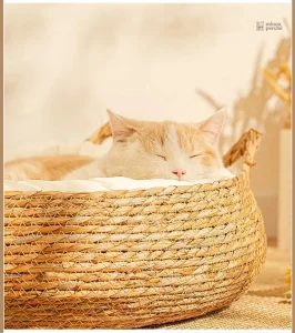 Panier douillet pour chats de petite taille