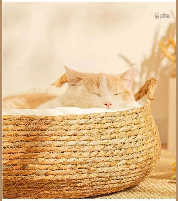 Panier douillet pour chats de petite taille