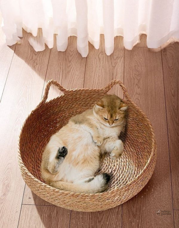 Panier pour chat chic en osier