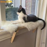 Étagère en bois pour chat, design pratique