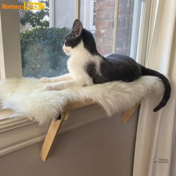 Étagère en bois pour chat, design pratique