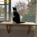 Accessoire pour chat, plateforme en bois naturel