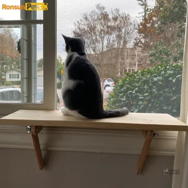 Accessoire pour chat, plateforme en bois naturel