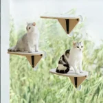 Plateforme fenêtre pour chat avec ventouse