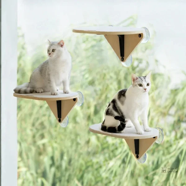 Plateforme fenêtre pour chat avec ventouse