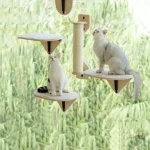 Périscope pour chats, idéal pour la fenêtre